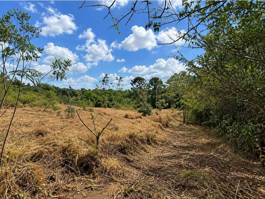 Imagem 2 do Leilão de Terreno - Sorocamirim - Ibiúna/SP