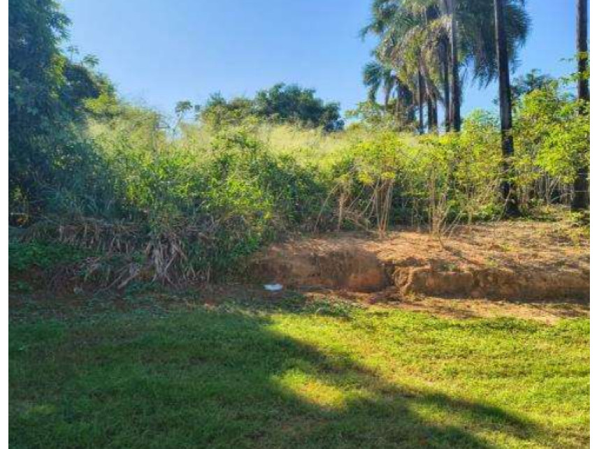 Imagem 6 do Leilão de Outros - Chácara Roma - Caldas Novas/GO