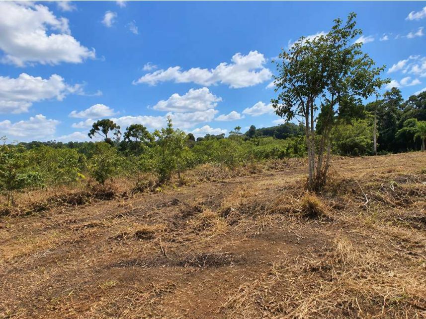 Imagem 1 do Leilão de Terreno - Sorocamirim - Ibiúna/SP