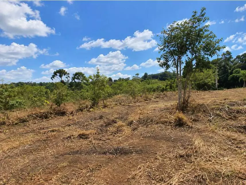 Leilão de Terreno - Sorocamirim - Ibiúna/SP cod: 234467