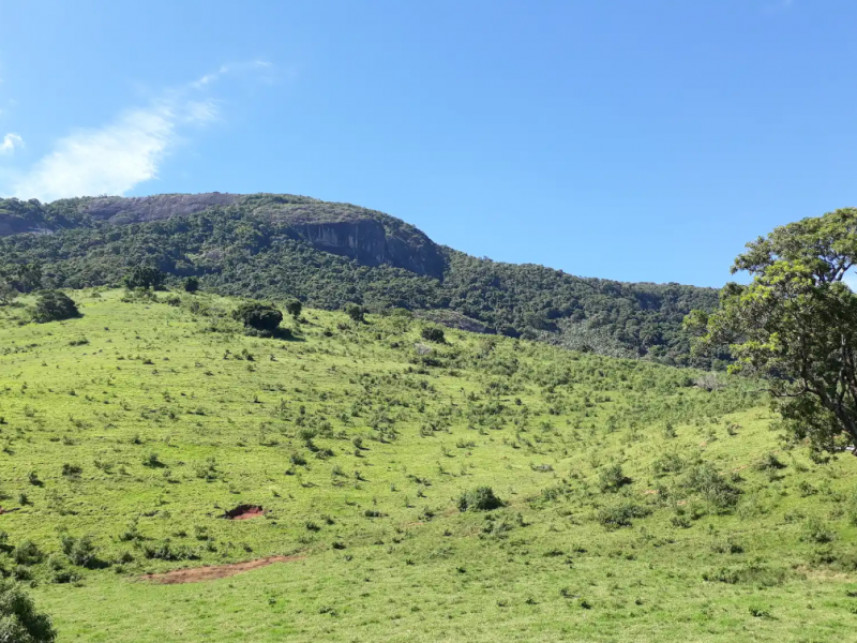 Imagem 15 do Leilão de Fazenda - Luminosa - Brazópolis/MG
