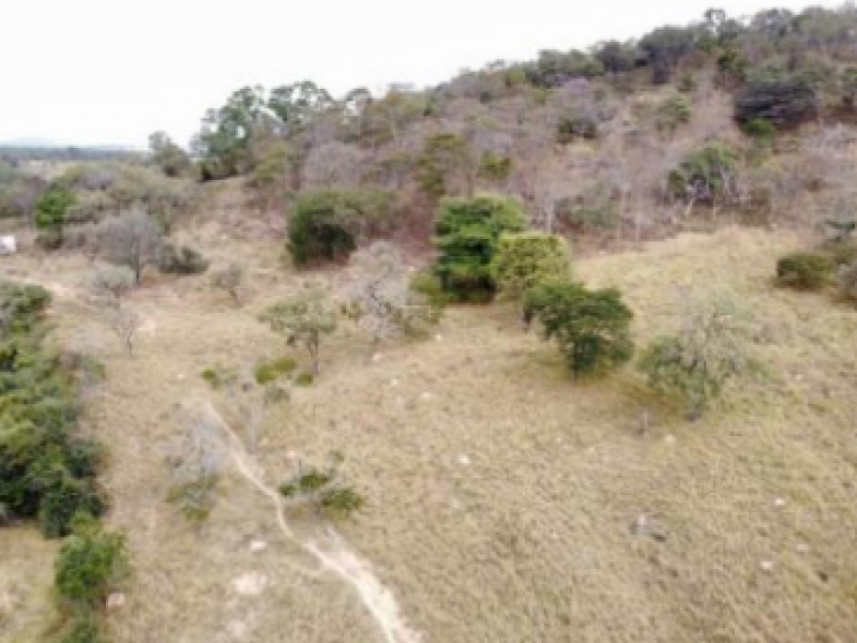 Imagem 6 do Leilão de Terreno - Zona Rural - Carmo do Cajuru/MG