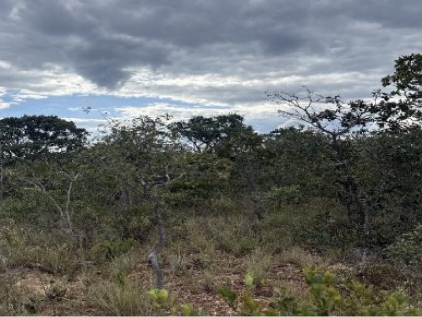 Imagem 3 do Leilão de Área Rural - Zona Rural - Rio Pardo de Minas/MG