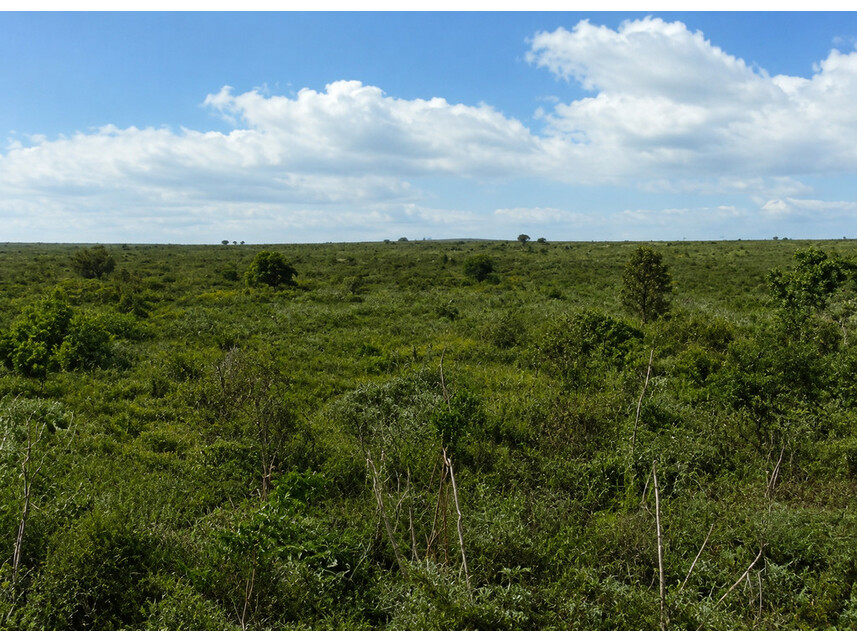 Imagem 2 do Leilão de Fazenda - Zona Rural - Gaúcha do Norte/MT