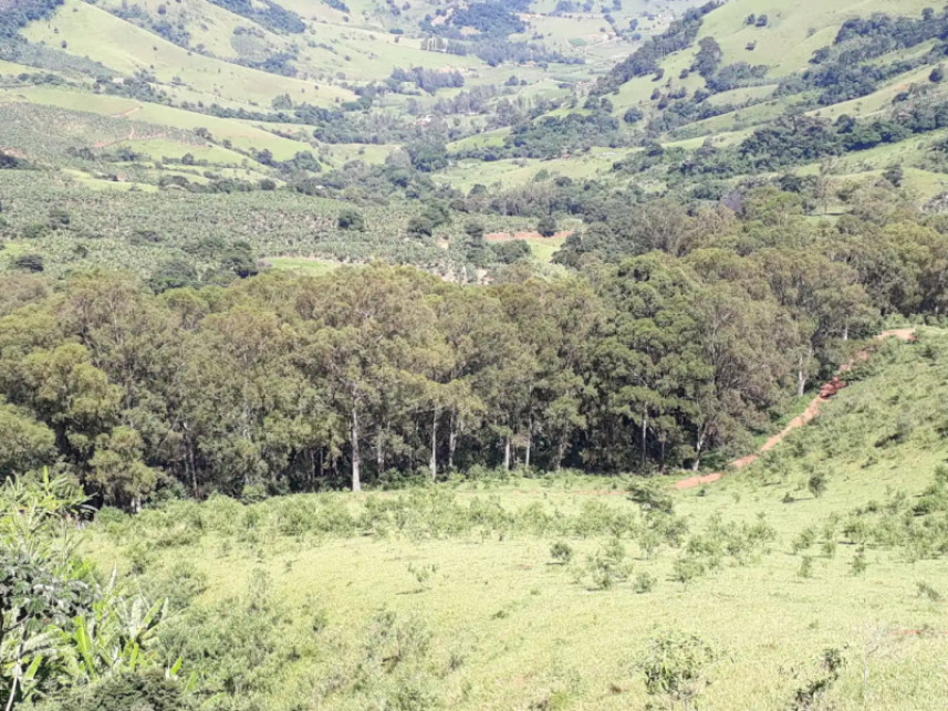 Imagem 5 do Leilão de Fazenda - Luminosa - Brazópolis/MG