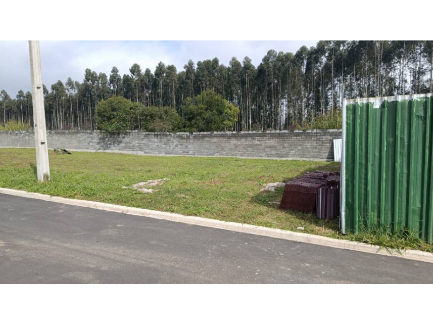 Imagem 3 do Leilão de Terreno - Colônia Dona Luíza - Ponta Grossa/PR