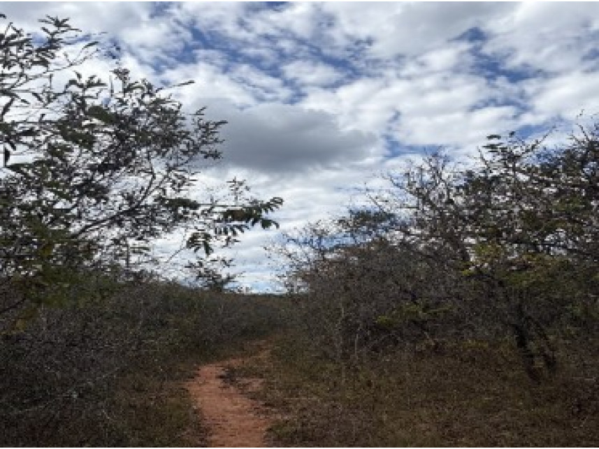 Imagem 2 do Leilão de Área Rural - Zona Rural - Rio Pardo de Minas/MG