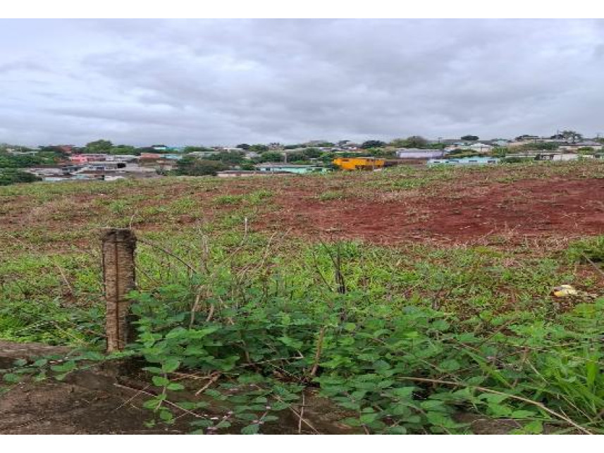 Imagem 5 do Leilão de Terreno - Vista Alegre - Palmeira das Missões/RS