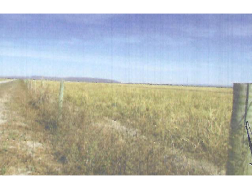 Fazenda à venda em leilão