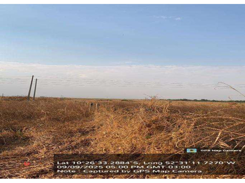 Imagem 2 do Leilão de Fazenda - Zonz Rural - São José do Xingu/MT