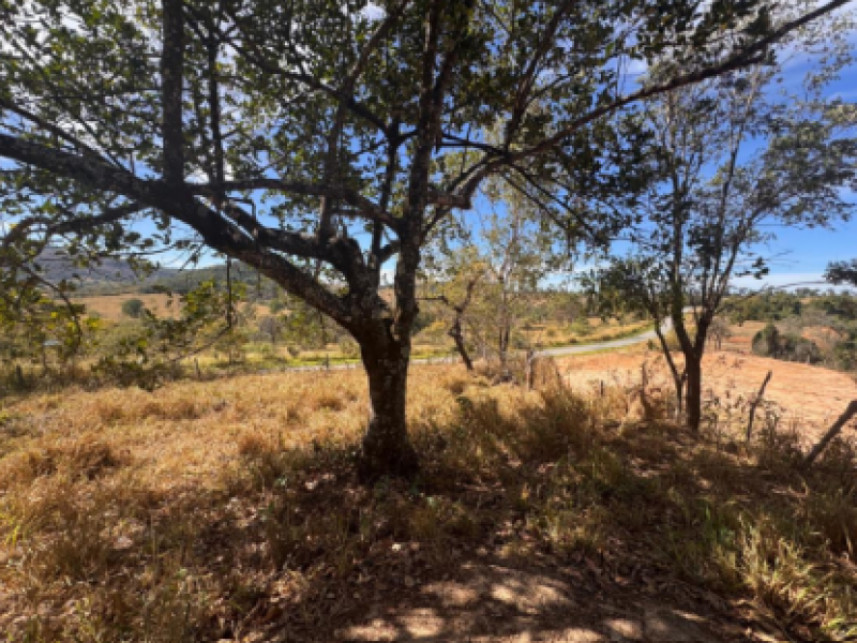 Imagem 7 do Leilão de Terreno - Zona Rural - Carmo do Cajuru/MG