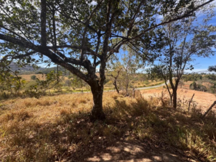 Terreno em leilão em Carmo Do Cajuru/MG a partir de R$ 650.000 | Lance Rápido