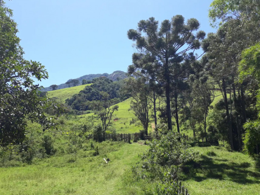Imagem 9 do Leilão de Fazenda - Luminosa - Brazópolis/MG