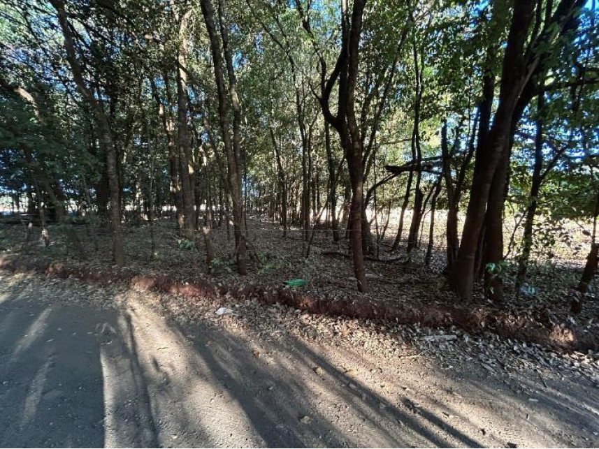 Imagem 6 do Leilão de Terreno - Sítios de Recreio São Geraldo - Goiânia/GO