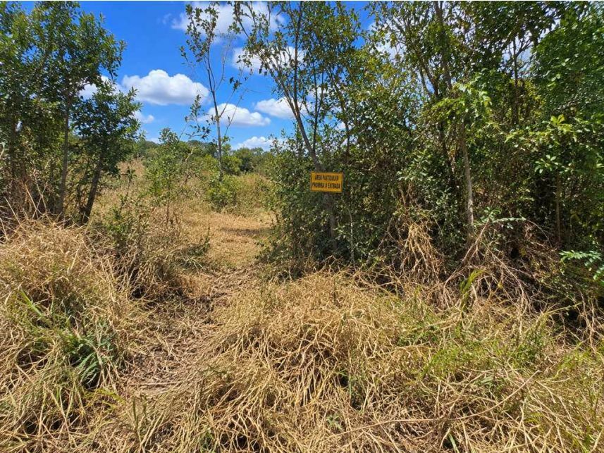 Imagem 4 do Leilão de Terreno - Sorocamirim - Ibiúna/SP