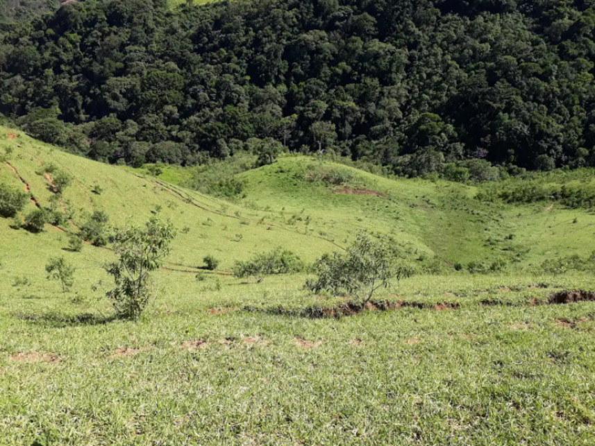 Imagem 14 do Leilão de Fazenda - Luminosa - Brazópolis/MG
