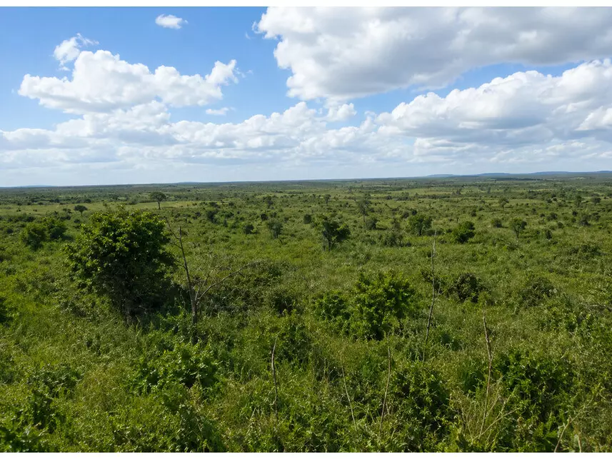 Leilão de Fazenda - Zona Rural - Gaúcha do Norte/MT cod: 233840