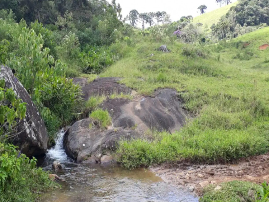 Imagem 11 do Leilão de Fazenda - Luminosa - Brazópolis/MG