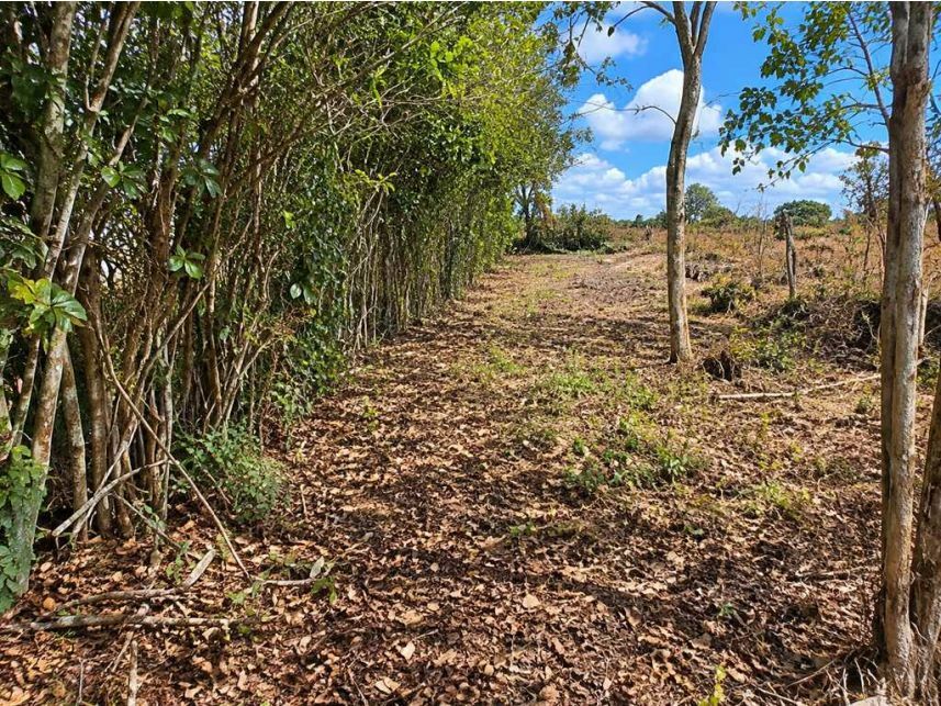 Imagem 5 do Leilão de Terreno - Sorocamirim - Ibiúna/SP