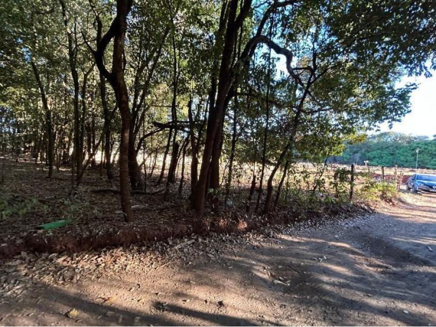 Imagem 7 do Leilão de Terreno - Sítios de Recreio São Geraldo - Goiânia/GO