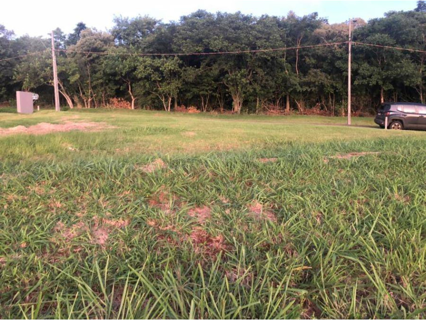 Imagem 7 do Leilão de Terreno - Residencial Ecovillas do Lago - Sertanópolis/PR
