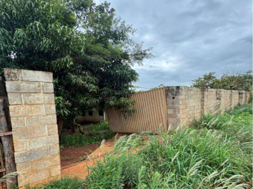 Imagem 11 do Leilão de Fazenda - Cachoeirinha - Rio Verde/GO