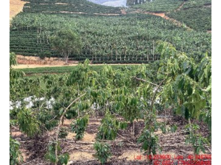 Imagem do Leilão de Área Rural - Zona Rural - Rio Bananal/ES