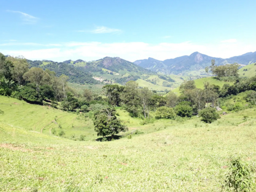 Imagem 7 do Leilão de Fazenda - Luminosa - Brazópolis/MG