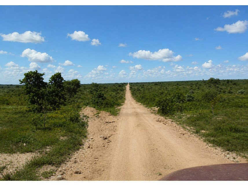 Imagem 3 do Leilão de Fazenda - Zona Rural - Gaúcha do Norte/MT