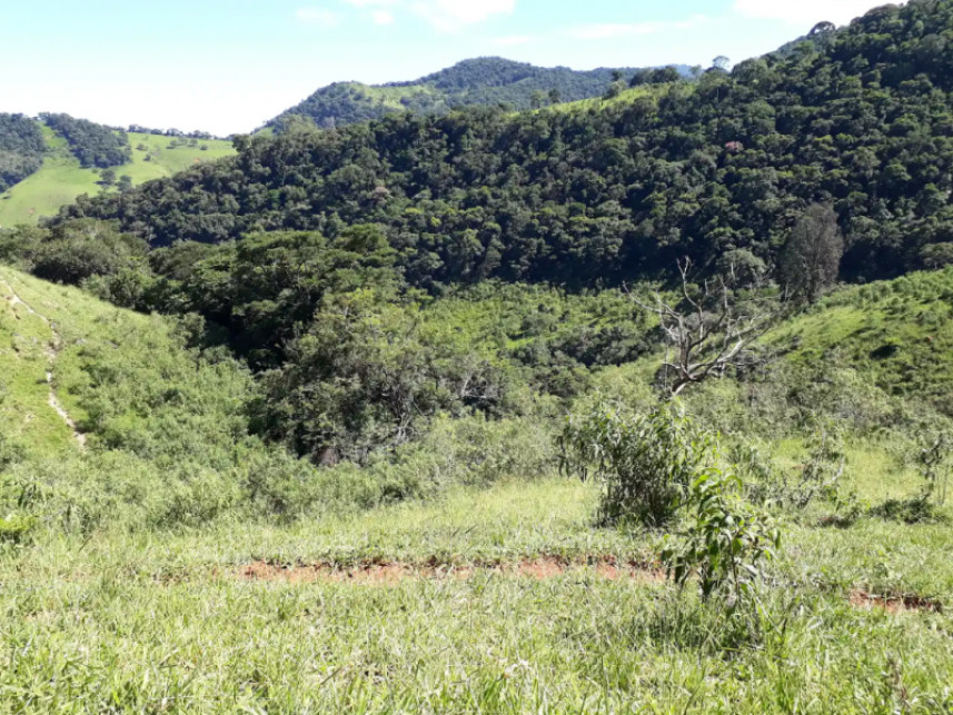 Imagem 16 do Leilão de Fazenda - Luminosa - Brazópolis/MG