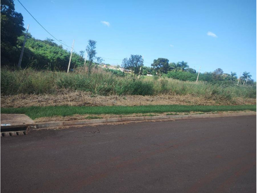 Imagem 4 do Leilão de Terreno - Centro - Cafelândia/PR