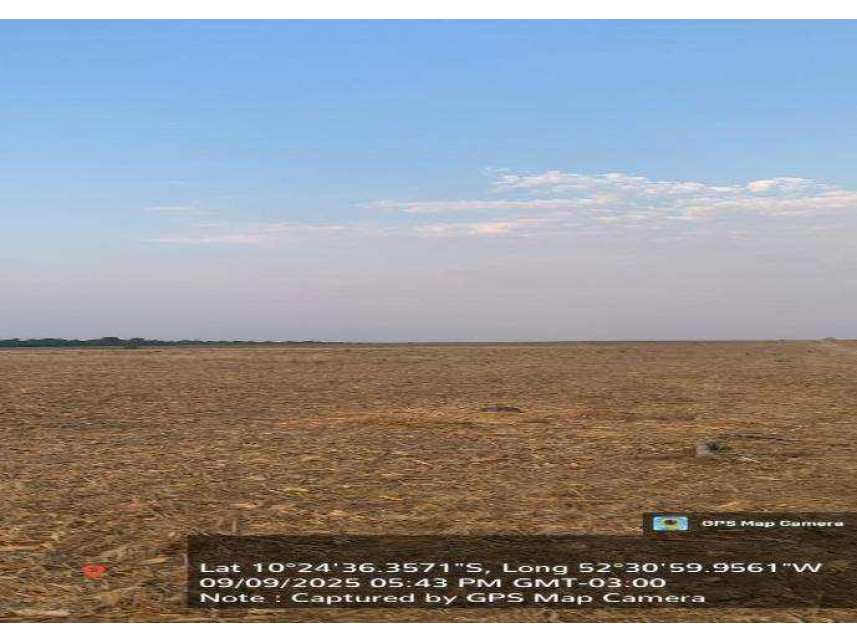 Imagem 7 do Leilão de Fazenda - Zonz Rural - São José do Xingu/MT
