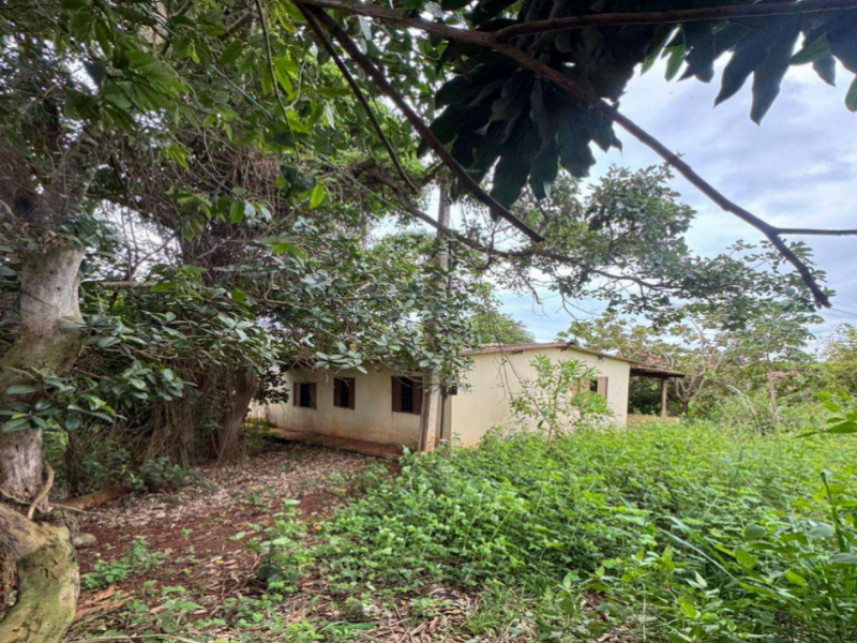 Imagem 9 do Leilão de Fazenda - Cachoeirinha - Rio Verde/GO