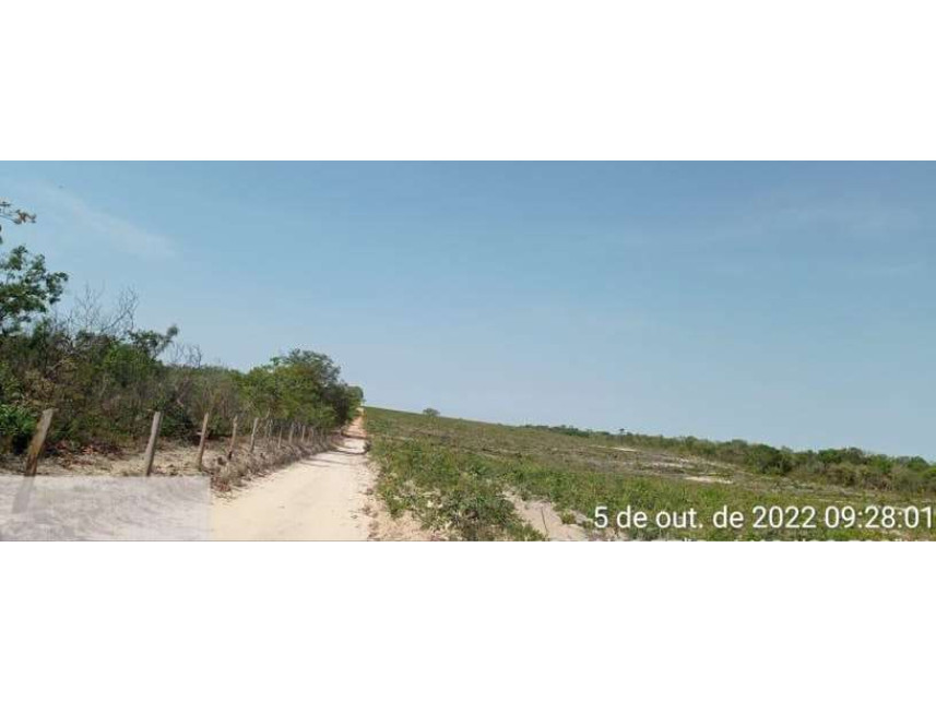 Imagem 6 do Leilão de Área Rural - Distrito de Várzeas - Baianópolis/BA