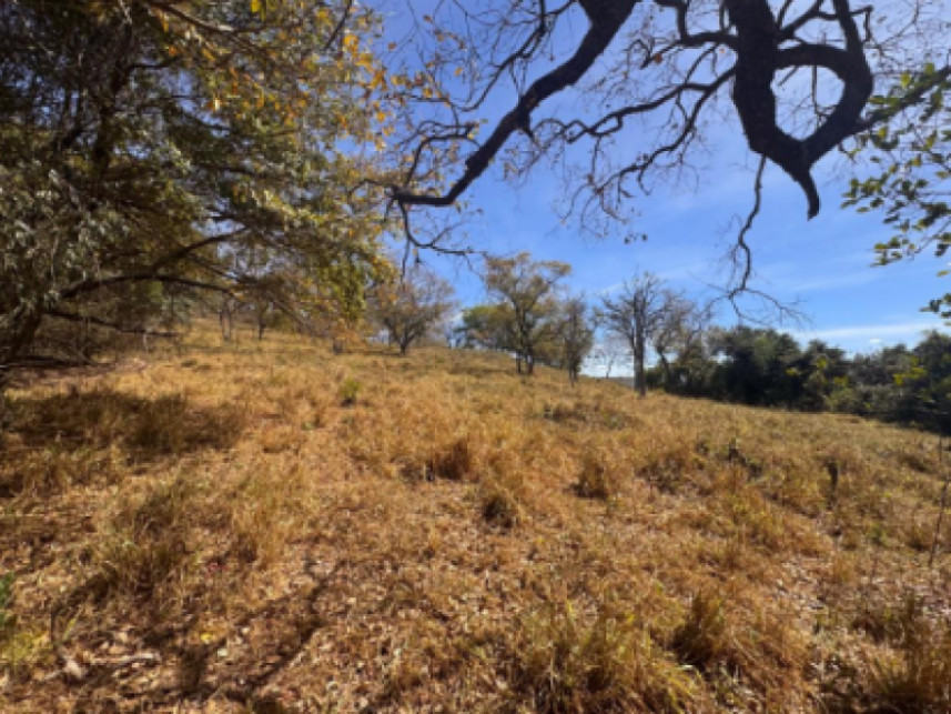 Imagem 8 do Leilão de Terreno - Zona Rural - Carmo do Cajuru/MG