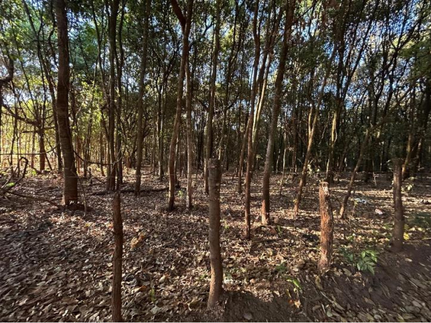 Imagem 10 do Leilão de Terreno - Sítios de Recreio São Geraldo - Goiânia/GO