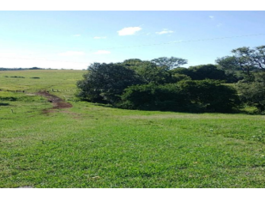 Imagem 3 do Leilão de Área Rural - Zona Rural - São Miguel das Missões/RS