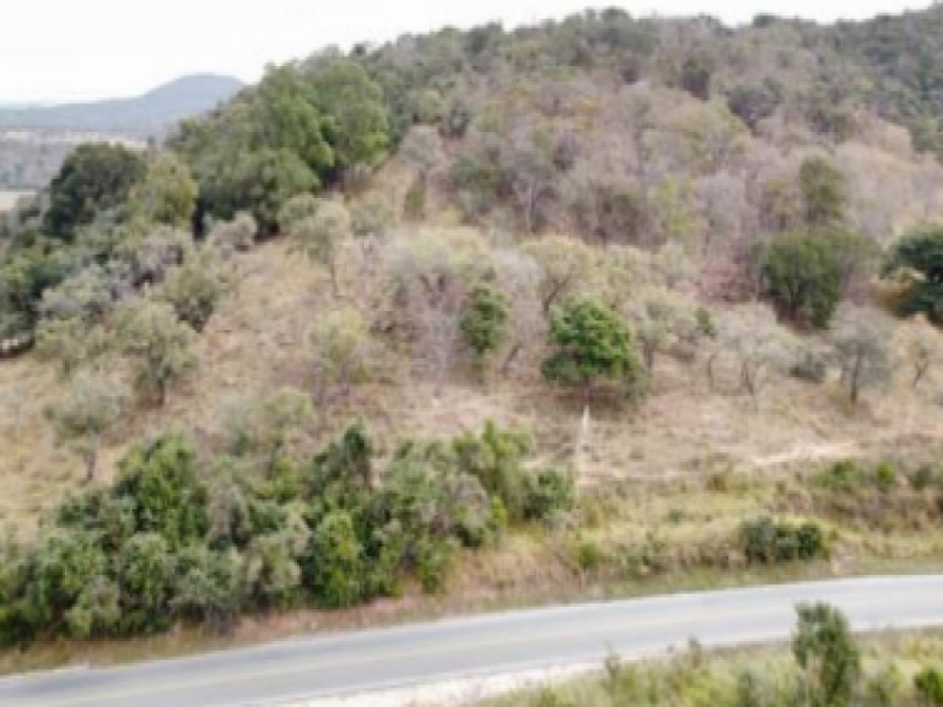 Imagem 4 do Leilão de Terreno - Zona Rural - Carmo do Cajuru/MG