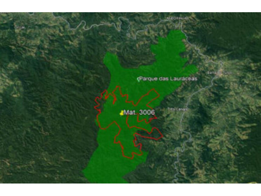 Imagem 4 do Leilão de Área Rural - Zona Rural - Adrianópolis/PR