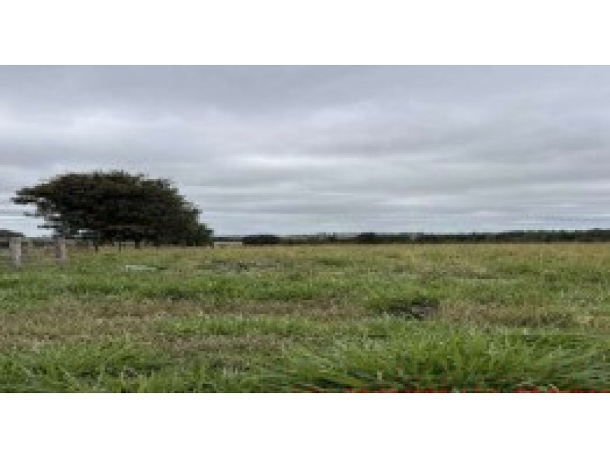 Imagem do Leilão de Área Rural - Expansão Urbana - São José do Rio Claro/MT