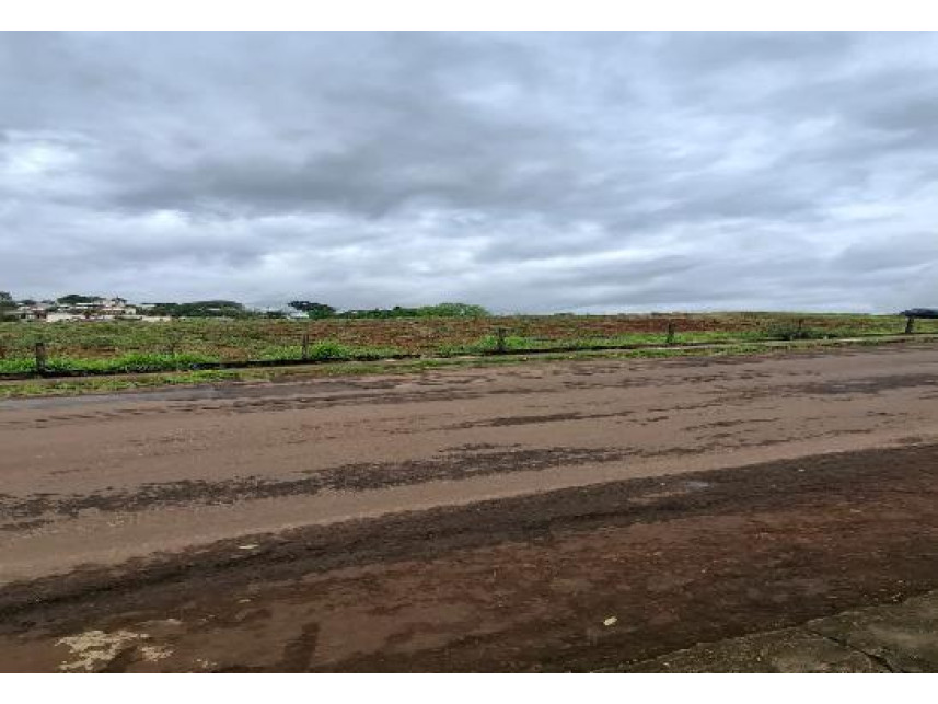 Imagem 4 do Leilão de Terreno - Vista Alegre - Palmeira das Missões/RS