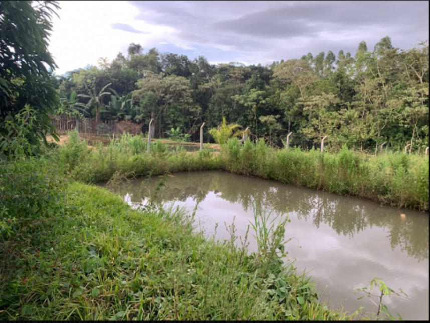 Imagem 2 do Leilão de Fazenda - Cachoeirinha - Rio Verde/GO