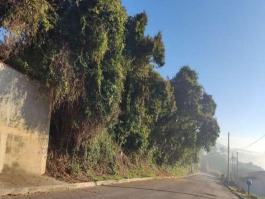 Imagem 3 do Leilão de Terreno - Cascata - Águas da Prata/SP