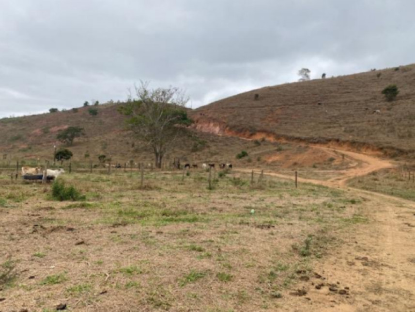 Imagem 6 do Leilão de Fazenda - Córrego São José e São José do Capitólio - Teófilo Otoni/MG