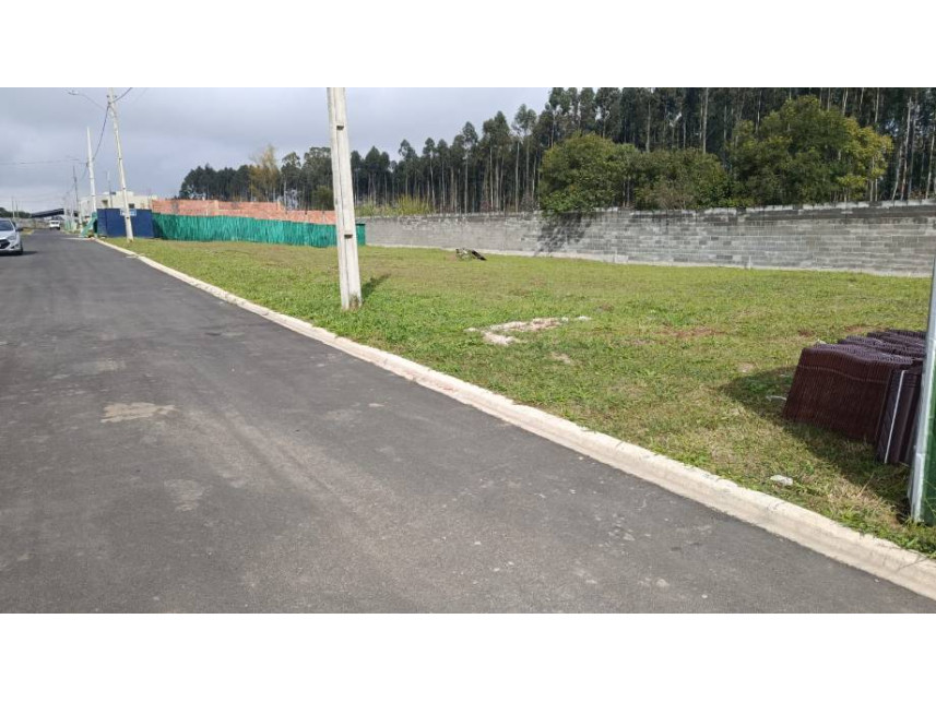 Imagem 2 do Leilão de Terreno - Colônia Dona Luíza - Ponta Grossa/PR