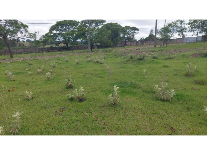 Imagem 3 do Leilão de Terreno - Parque Residencial Viva - Pérola/PR