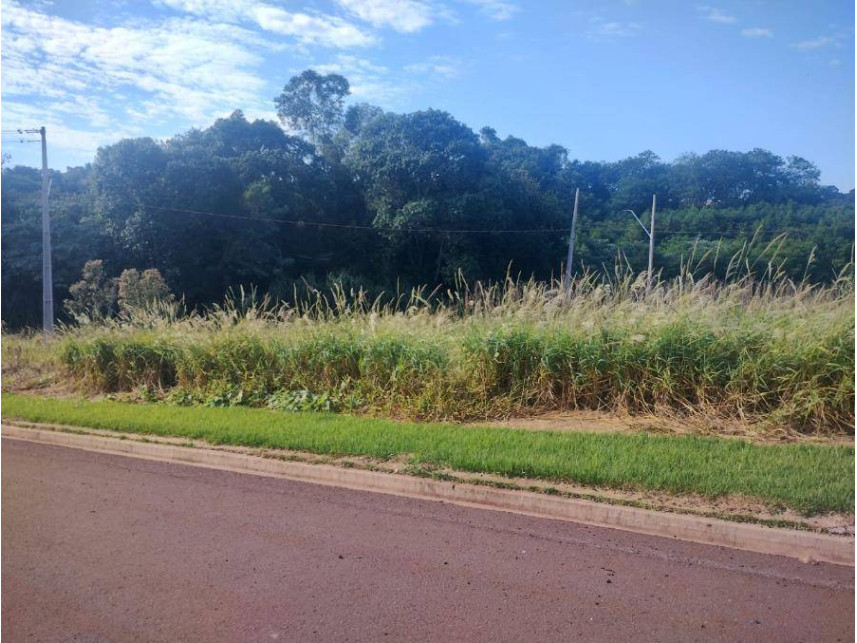 Imagem 5 do Leilão de Terreno - Centro - Cafelândia/PR