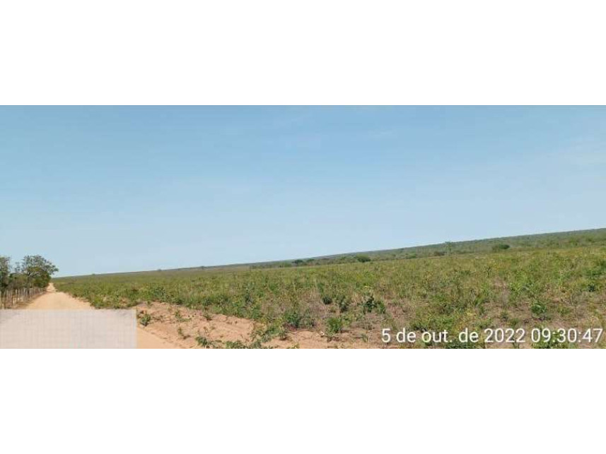 Imagem 5 do Leilão de Área Rural - Distrito de Várzeas - Baianópolis/BA