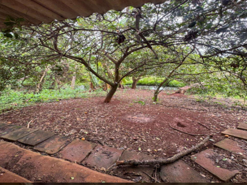 Imagem 13 do Leilão de Fazenda - Cachoeirinha - Rio Verde/GO