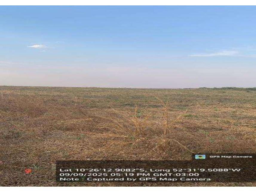 Imagem 5 do Leilão de Fazenda - Zonz Rural - São José do Xingu/MT